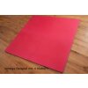 Pro4 Kampfsportmatten "Pro Grip" 2 cm (100x100x2cm)