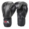 LNX Boxhandschuhe "Nitro"
