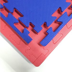 Pro4 Kampfsportmatten "Pro Grip" 2 cm (100x100x2cm) blau/rot