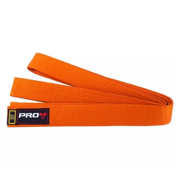 Pro4 Budo Gürtel Einfarbig orange 260cm
