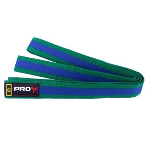 Pro4 Budo Gürtel Zweifarbig grün/blau 220cm