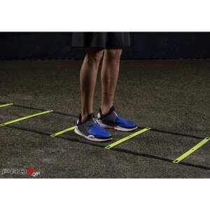 Pro4 Koordinationsleiter "Pro Agility"