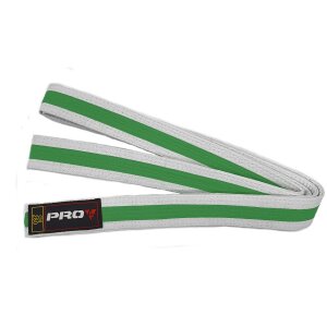 Pro4 Budo Gürtel Zweifarbig weiß/grün 320cm